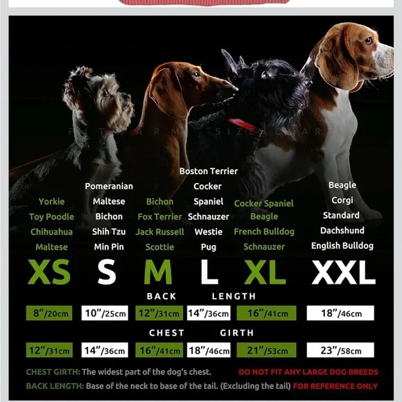 𝓕𝓲𝓣𝔀𝓪𝓻𝓶 𝓟𝓮𝓣𝓼 𝓞𝓻𝓪𝓷𝓰𝓮 𝓟𝓛𝓪𝓲𝓭 𝓓𝓸𝓰 𝓗𝓸𝓸𝓭𝓲𝓮 - Picture 4 of 4